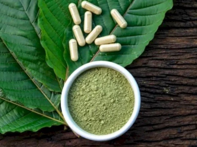 druhy kratomu